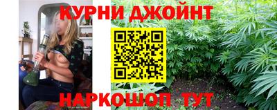 гашик Ярославль