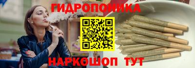 гашик Ярославль