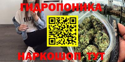 гашик Ярославль