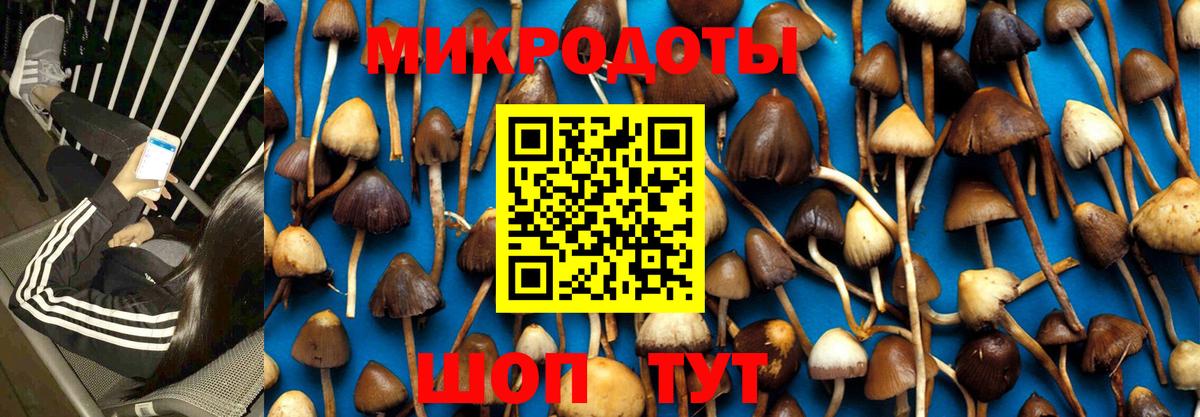 Костомукша  Псилоцибиновые грибы прущие грибы  наркошоп  Вход с VPN 